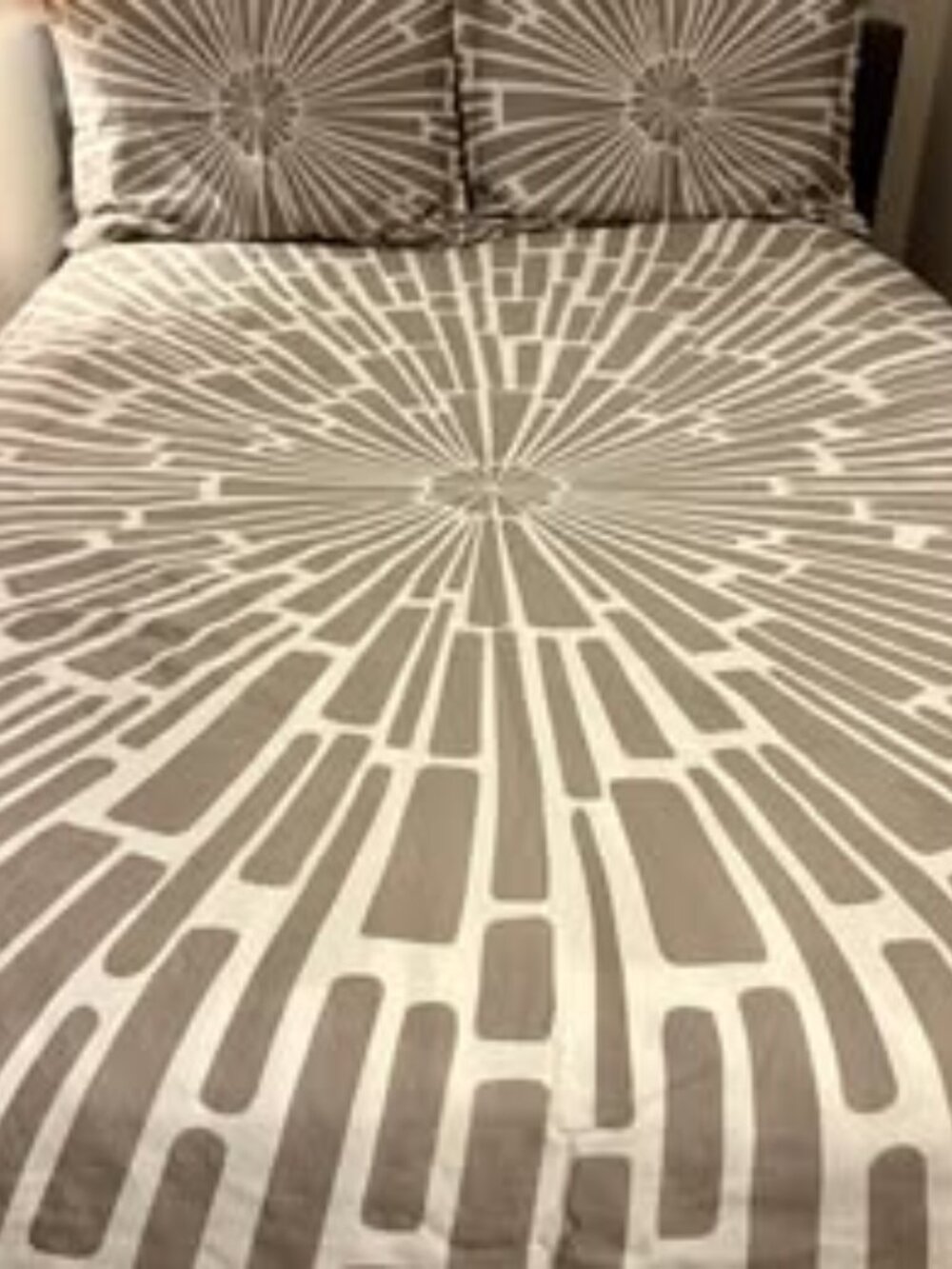 Jonathan Adler Duvet Cover and Standard Shams set